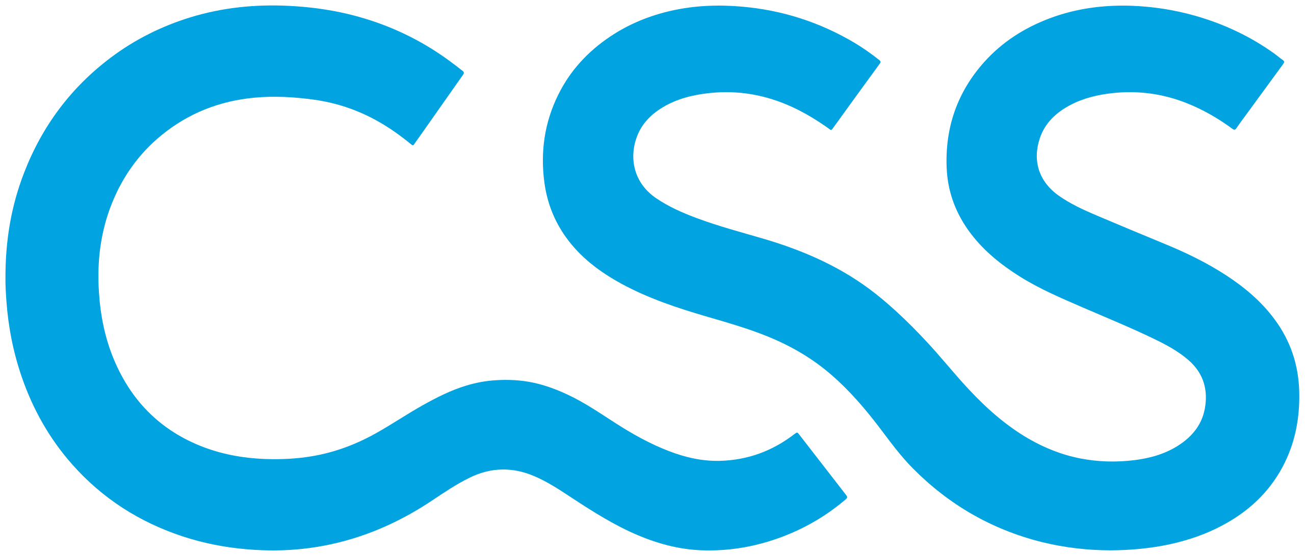 CSS logo