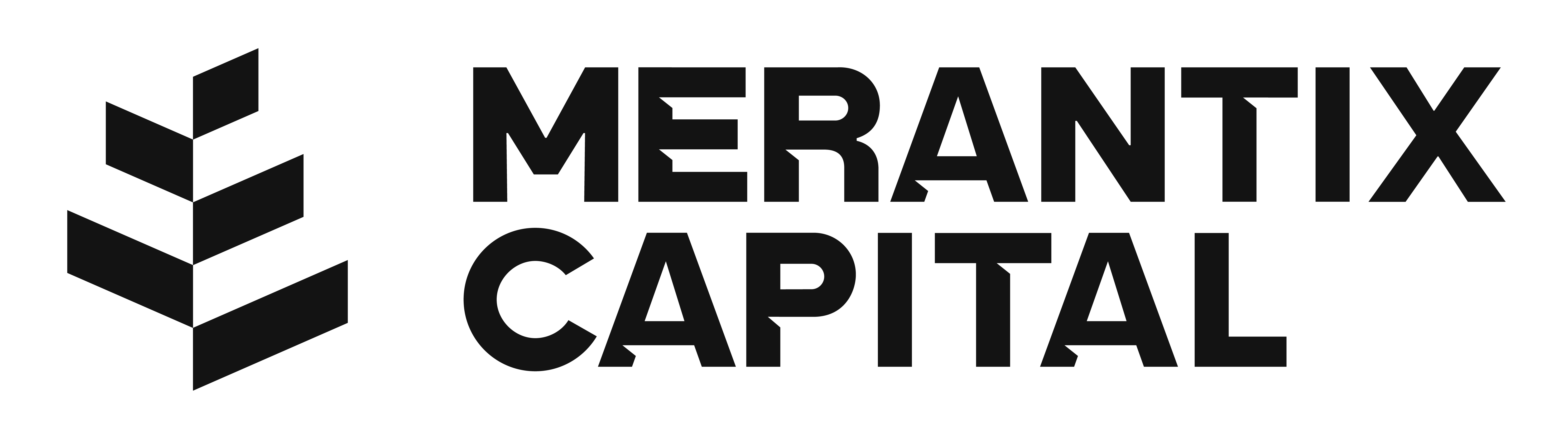Merantix Capital